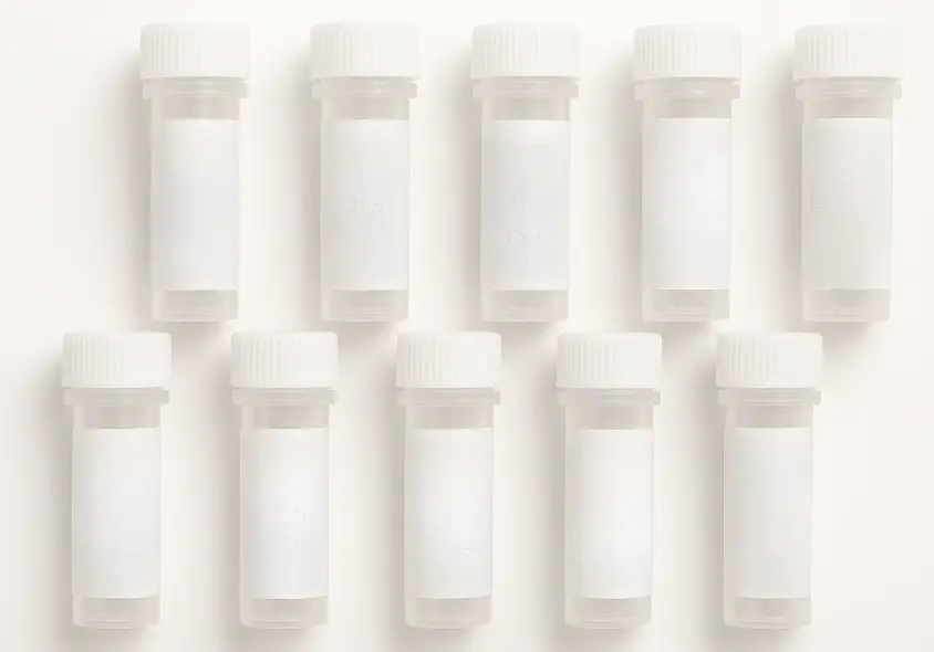 LOC124220 293T Cell Transient Overexpression Lysate(Denature