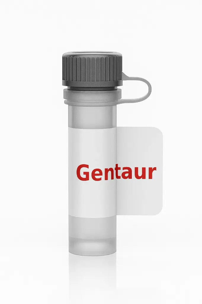 Lactate Dehydrogenase (LDH) from Bovine Heart